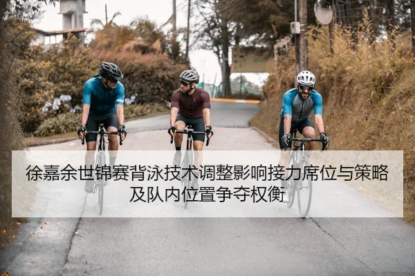 xu-jia-yu-shi-jin-sai-bei-yong-ji-shu-tiao-zheng-ying-xiang-jie-li-xi-wei-yu-ce-lve-ji-dui-nei-wei-zhi-zheng-duo-quan-2-723.jpg
